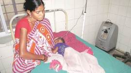 Japanese encephalitis, encephalitis,encephalitis death, Malkangiri encephalitis death, encephalitis death toll , india news,latest news