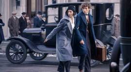 Fantastic Beasts review, Fantastic Beasts, Fantastic Beasts and Where to Find Them review, Fantastic Beasts movie, Fantastic Beasts cast, Eddie Redmayne, Eddie Redmayne film