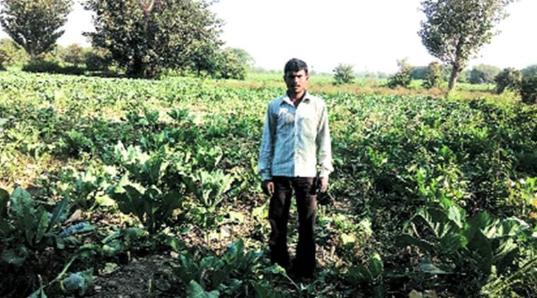 Satish Kumar at his farm in east Delhi. Express Photo by Abhishek Angad