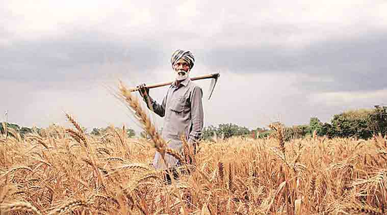 india farmers, farm policies, modi government, more crop per drop, farming in india, nda government, agriculture, farming, indian express