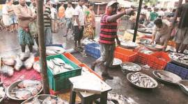 Versova fishing village, versova, fish market, demonetisation, mumbai fishing, fisher women, indian express news, india news, mumbai, mumbai news