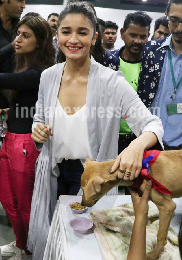 Alia Bhatt, Saif Ali Khan, Alia Bhatt pics, Alia Bhatt images, Alia Bhatt movies, Alia Bhatt news, Alia Bhatt photos, Alia Bhatt dear zindagi, Saif Ali Khan, Saif Ali Khan pics, Saif Ali Khan images, alia pics, alia images, entertainment photos, indian express, indian express news