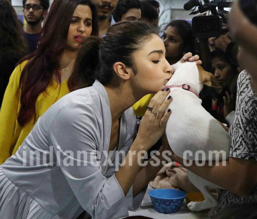 Alia Bhatt, Saif Ali Khan, Alia Bhatt pics, Alia Bhatt images, Alia Bhatt movies, Alia Bhatt news, Alia Bhatt photos, Alia Bhatt dear zindagi, Saif Ali Khan, Saif Ali Khan pics, Saif Ali Khan images, alia pics, alia images, entertainment photos, indian express, indian express news