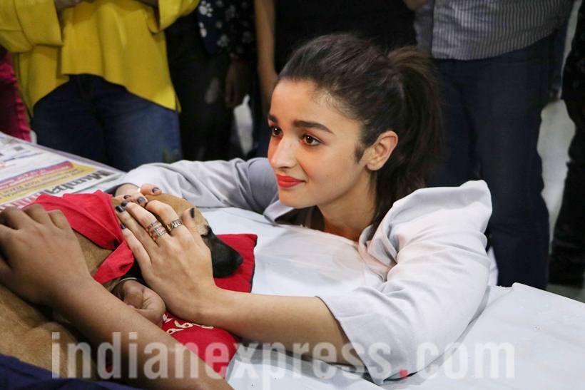 Alia Bhatt, Saif Ali Khan, Alia Bhatt pics, Alia Bhatt images, Alia Bhatt movies, Alia Bhatt news, Alia Bhatt photos, Alia Bhatt dear zindagi, Saif Ali Khan, Saif Ali Khan pics, Saif Ali Khan images, alia pics, alia images, entertainment photos, indian express, indian express news