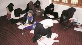 kashmir-480 no alt set