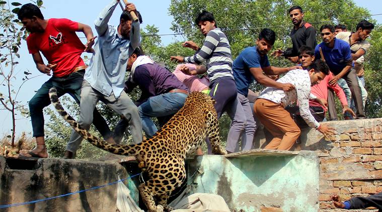 (Source: Photo by Manoj Kumar)