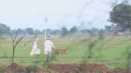 leopard, leopard killed, leopard in gurgaon village, leopard in village, leopard, leopard spotted, leopard attack, leopard habitat, animal human conflict, animal killed, latest news, indian express, india news