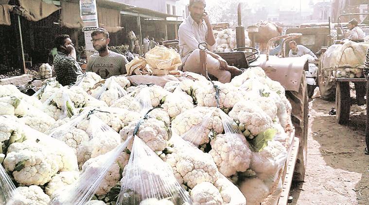 demonetisation, vegetables, punjab vegetables, ludhiana vegetable prices, ludhiana news, india news
