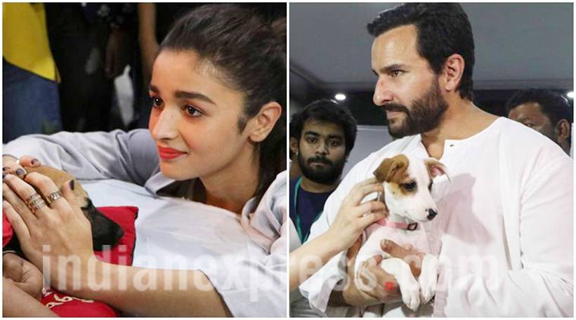 Alia Bhatt, Saif Ali Khan, Alia Bhatt pics, Alia Bhatt images, Alia Bhatt movies, Alia Bhatt news, Alia Bhatt photos, Alia Bhatt dear zindagi, Saif Ali Khan, Saif Ali Khan pics, Saif Ali Khan images, alia pics, alia images, entertainment photos, indian express, indian express news