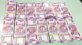 black money fraud, delhi, delhi black money scam, Enforcement Directorate, blackmoney, money laundering case, black money seize, Serious Frauds Investigation Office, latest india news