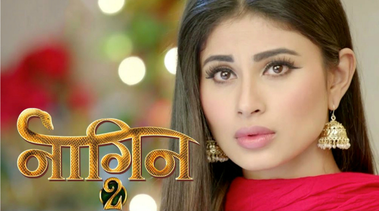 Naagin 2, 18th December 2016 full episode written update: Yamini tries