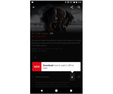 Netflix, Netflix app, Netflix offline, Netflix download option, Netflix Download option, Netflix Offline, Netflix plan India, Netflix Download option charge, Netflix how to download shows, Netflix Download list, Netflix shows for download, technology, technology news