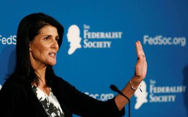 donald trump, un pick, nikki haley, donald trump news, trump, un news, united nations, united nations news, us, us news, united states news, trump's un pick, donald trump's un pick, us president-elect, nikki haley news
