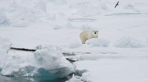 Arctic archipelago of Svalbard sees ‘shocking’ temperatures near
