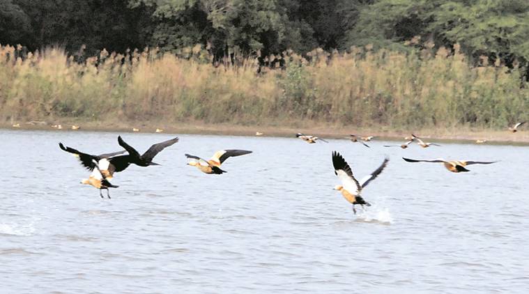 Chandigarh administration, Sukhna Lake, tertiary water, tubewells, Patiala ki Rao, news, latest news, India news, national news