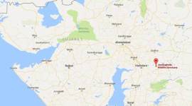 Gujarat forest department, eco-resorts, Jambughoda Wildlife Sanctuary, Panchmahal, online booking, online booking service, online resort booking, india news, indian express