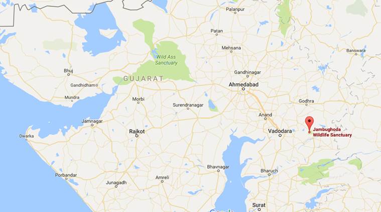 Gujarat forest department, eco-resorts, Jambughoda Wildlife Sanctuary, Panchmahal, online booking, online booking service, online resort booking, india news, indian express