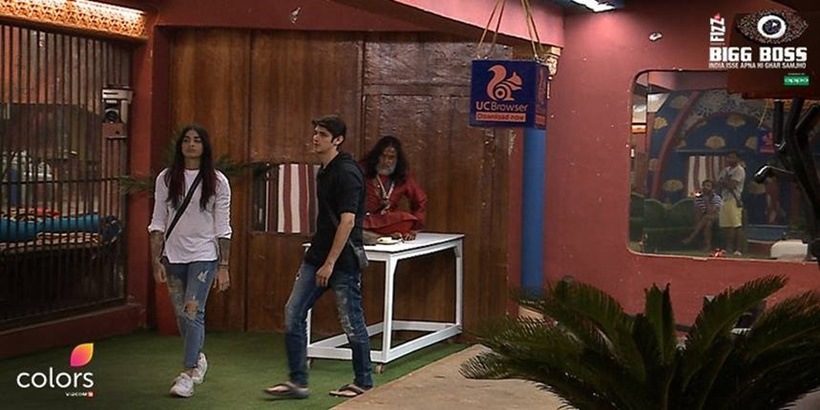 Bigg Boss 10 highlights, bigg boss 10 yesterday episode, bani rohan stretcher,