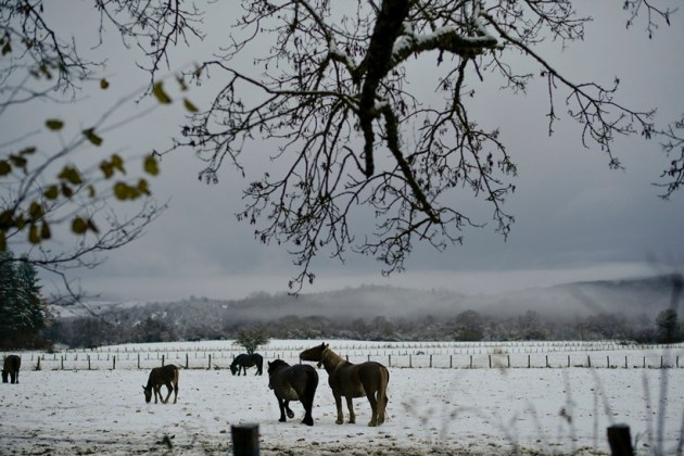 winter, winter 2016, snow, snowfall, winter vacation, winter holidays, winter travel destination, tokyo, japan snowfall, uk snowfall, tokyo snow, winter snowfall, snowfall photos, spain snowfall, USA snowfall, lifestyle news, world news, latest news,