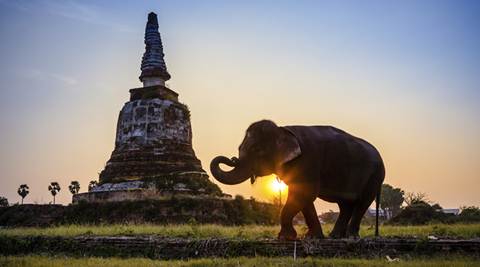 CEO celebrates 130th anniversary of company with Thailand vacation for all employees