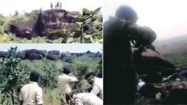 simi activists jailbreak, simi, simi activists killed, bhopal jailbreak, bhopal encounter, simi encounter, bhopal news, simi news, mp, madhya pradesh, India news