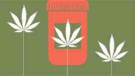 legalise recreational marijuana, marijuana, California marijuana, Massachusetts marijuana, Nevada marijuana, cannabis, cannabis in US, marijuana in US, marijuana legalization, cannabis legalisation, india news