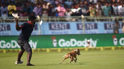 The dog who stole Virat Kohli’s show during India Vs England match has a Twitter page and posting hilarious tweets