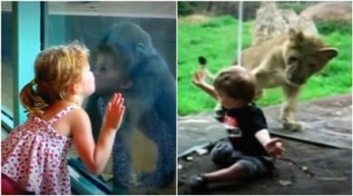 WATCH: These adorable kids messing around with animals in zoo will brighten  your day! | Trending News,The Indian Express