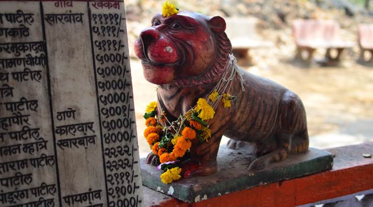 leopard, leopard killing gurgaon, India leopards, leopard study, news, latest news, India news, national news, environment news