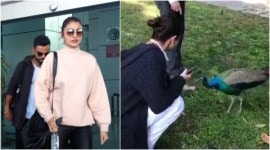 anushka-virat-480 anushka sharma video, anushka sharma dehradun, anushka sharma peacock video, anushka sharma virat kohli video, anushka sharma virat kohli, anushka sharma virat kohli dehradun, anushka sharma virat kohli new year, anushka virat family, anushka nirat new year vacation, anushka virat vacation, anushka sharma new year, anushka sharma holidaying, anushka sharma virat kohli holiday, anushka sharma news, bollywood news, entertainment updates, indian express, indian express news