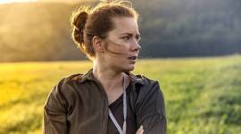 Arrival, Arrival movie, Arrival contact film, Arrival news, Arrival aliens, alien Arrival, amy adams, amy adams Arrival, Arrival amy adams, story of your life, arrival review, arrival story, arrival heptapods, entertainment news, indian express, indian express news