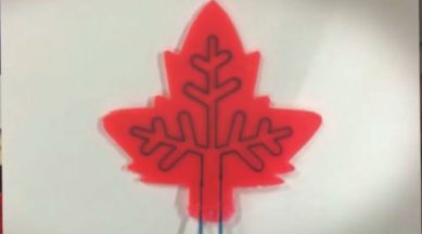 Photosynthesis, Artificial leaf, Drugs in future, Future way of creating drugs, Drug plant of the future, Artificial plant, Mini drug factory, Science, Science news