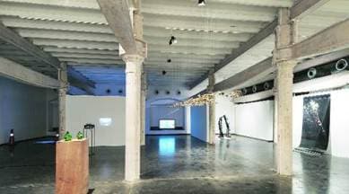 mumbai, colaba exhibition, Diana Campbell Betancourt, art exhibition, art and culture news, indian express news