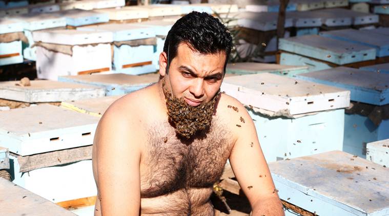 This Egyptian Man Has A Unique Way Get Whiskers — ‘beard Of Bees Trending News The Indian