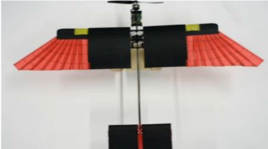 bird like drone, foldable wings, EPFL, bird drone, drone,Gadgets, flight, Science, Science news