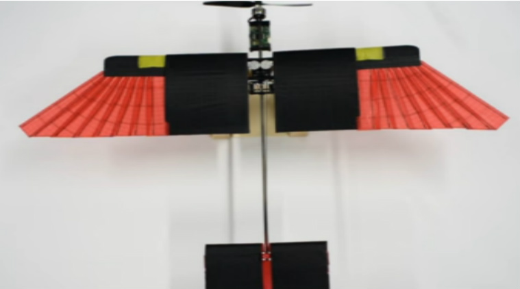 Drone, Bird-like Drone, Drone with feathers, new drone, Drones in India, Drone Bird, High-speed drones, Science, Science news