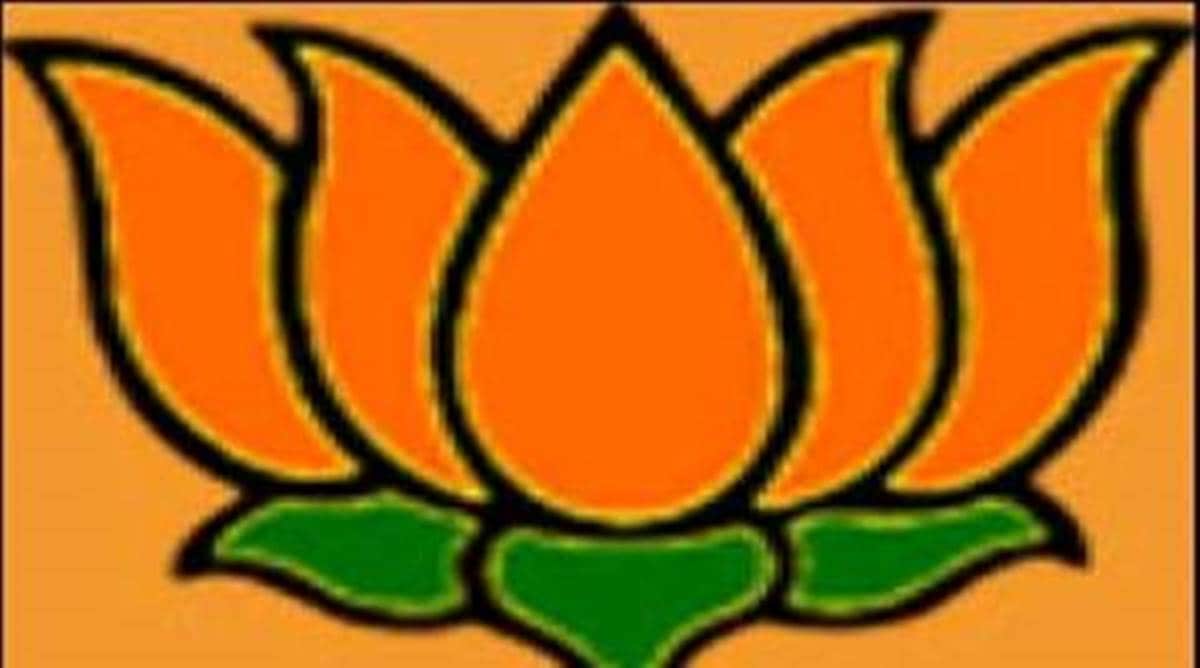 BJP MPs protest Parliment, BJP protest Parliment, Parliment protests BJP, BJP MPs Sabarimala, Sabarimala protests, BJP sabarimala, Indian Express