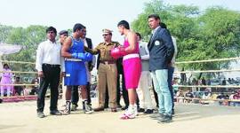 boxing, india boxing, haryana boxing, haryana sports, alewa haryana, boxing news, sports news