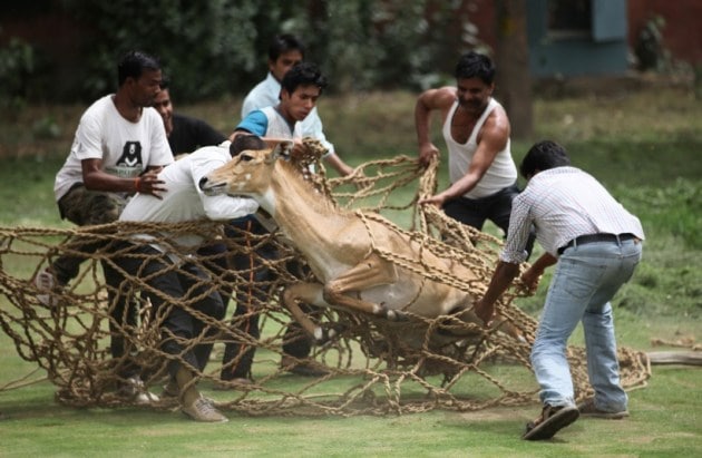 narendra modi, j jayalalithaa, rohith vemula death, jnu, jnusu, delhi pollution, world culture festival, demonetisation, cash crunch, state elections, supermoon, bjp, delhi festival, express photos, best express photos, indian express photos