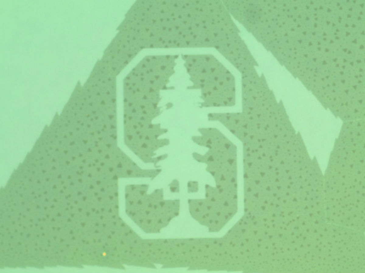 chip, 3 atom chip, transparent devices, flexible devices, single layer chips, molybdenum disulfide, molybdenum disulfide switch, chemical vapour deposition, science, science news