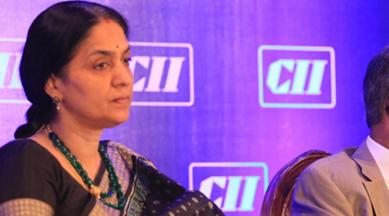 Chitra Ramkrishna, NSE CEO, Chitra Ramkrishna resignation, National Stock Exchange, J Ravichandran, business news