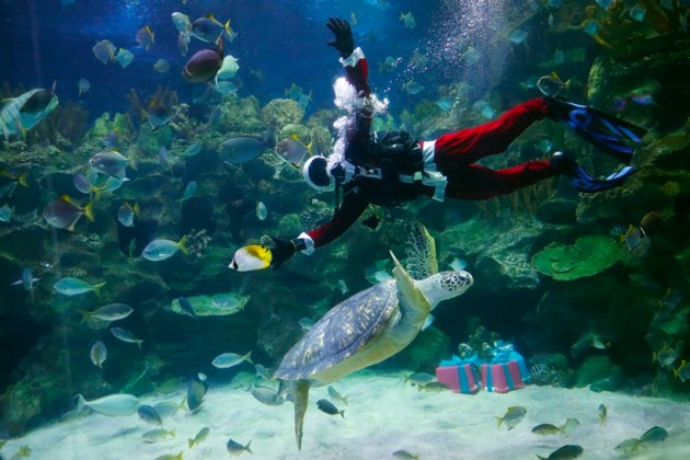 christmas 2016, christmas trees 2016, christmas lights 2016, christmas decorations 2016, christmas preparations, rockerfeller centre, hon kong, xmas, xmas celebrations, indian express, indian express news