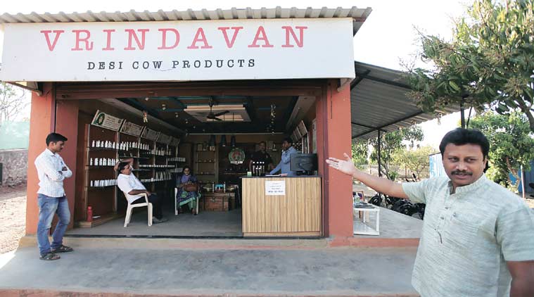 livestock, cattle, india cattle, india indigenous cattle, india livestock, india indigenous livestock, india news