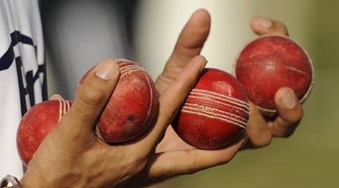 Gray-Nicolls Cricket-Reverse Swing Ball