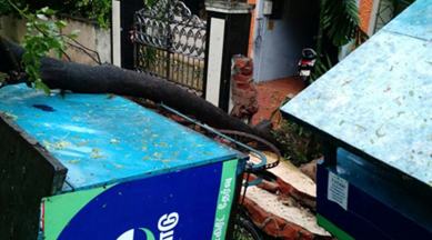 Cyclone Vardah, vardah, tamil nadu cyclone, cyclone vardah deaths, vardah damage, cyclone vardah damage, tamil nadu government, MHA, cyclone vardah relief, indian express news, india news