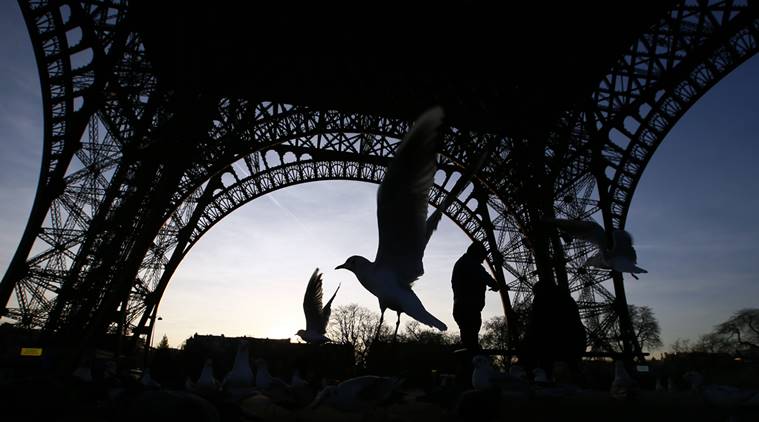 Pigeons and seagulls fly under the Eiffel Tower on the second day of the strike, in Paris, Wednesday, Dec. 14, 2016. The Eiffel Tower, which is normally open every single day of the year, closed Tuesday because of a strike over salaries and working conditions. (AP Photo/Francois Mori)