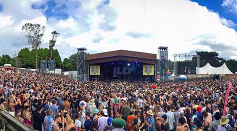 festival music crush crowd