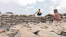 farmer suicide, farmer suicides, bank loans, micro finance institutions, debt suicides, money lenders, National Crime Records Bureau, farmer suicides, farmer suicide report, india farmer suicide report, farmer suicide rate, suicide rate, indian farmers, india farmers, india news, indian express news, indian express report