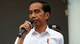 Free Papua Movement, West Papua National Liberation Army, President Joko Widodo, world news, indian express news