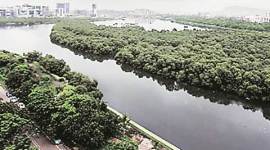 Maharashtra pollution control board, National Green Tribunal, Mithi river, illegal construction, pollution, Mumbai news, Maharashtra, India news